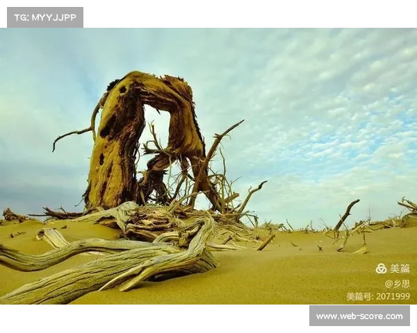 佩雷拉闪电复辟再燃斗志诠释从挫败中奋起的顽强精神